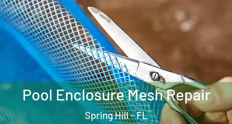 Pool Enclosure Mesh Repair Spring Hill - FL