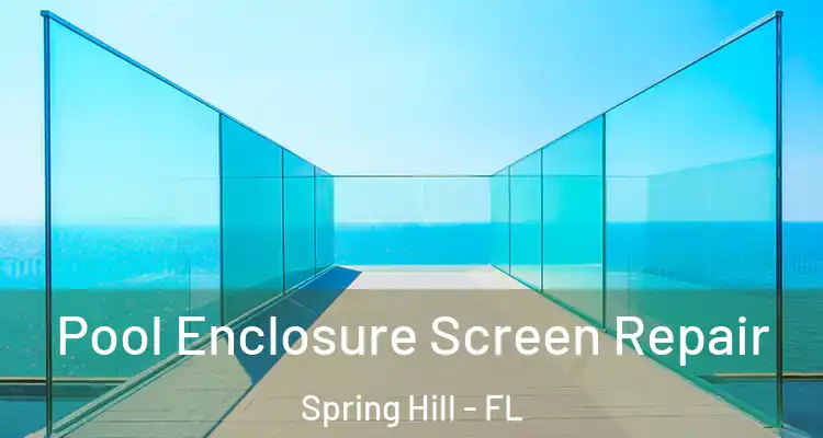 Pool Enclosure Screen Repair Spring Hill - FL