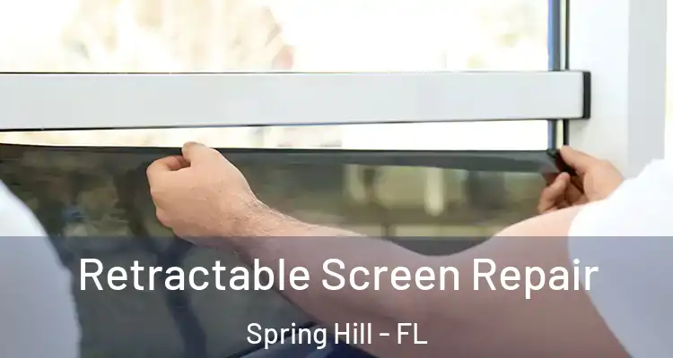 Retractable Screen Repair Spring Hill - FL