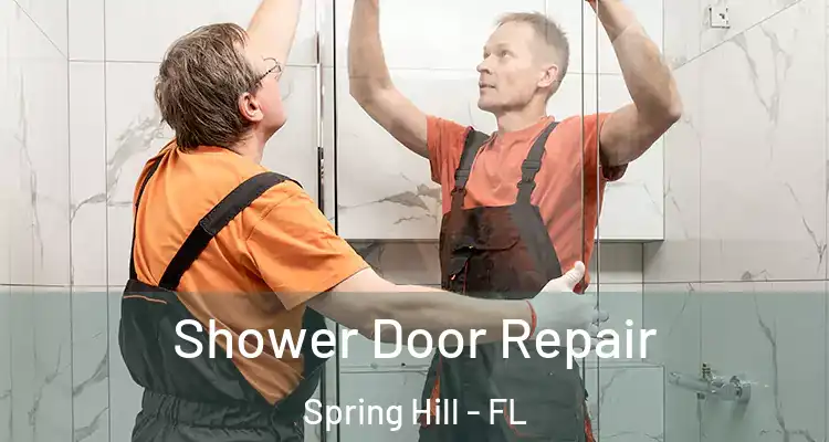 Shower Door Repair Spring Hill - FL