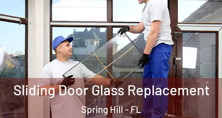 Sliding Door Glass Replacement Spring Hill - FL