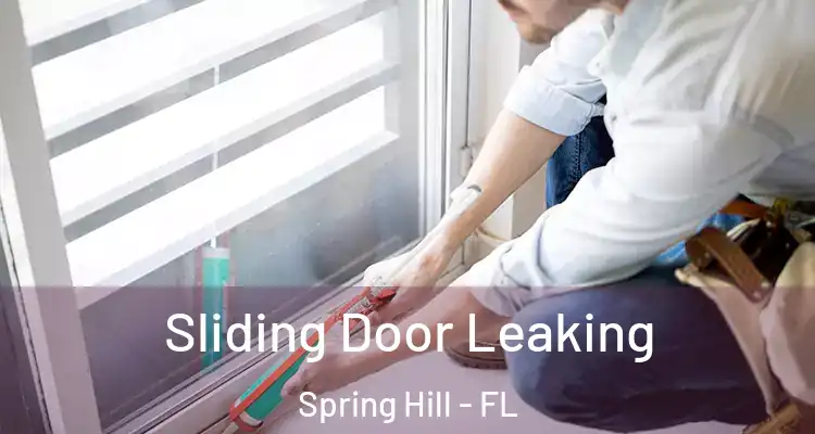 Sliding Door Leaking Spring Hill - FL