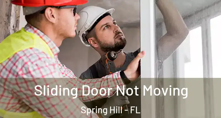 Sliding Door Not Moving Spring Hill - FL