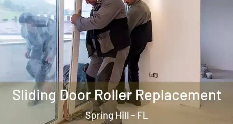 Sliding Door Roller Replacement Spring Hill - FL