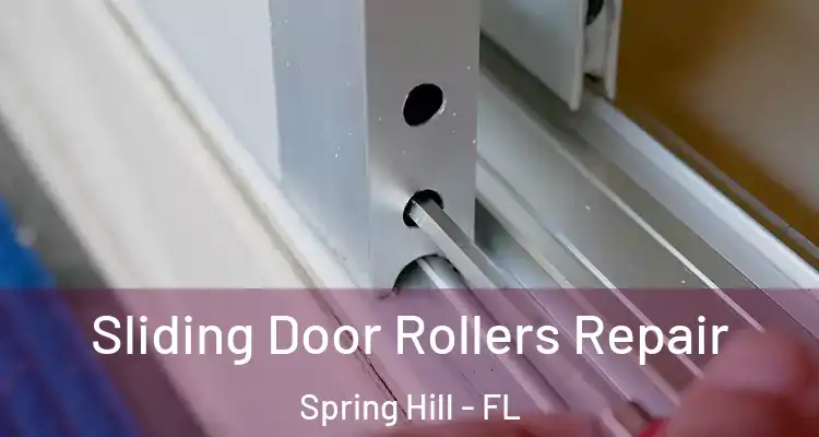 Sliding Door Rollers Repair Spring Hill - FL