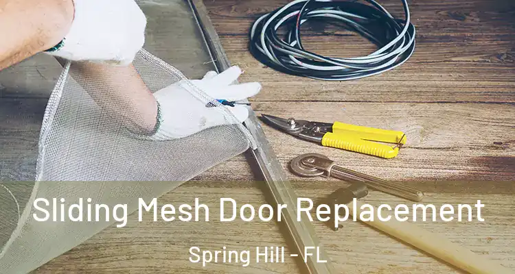 Sliding Mesh Door Replacement Spring Hill - FL