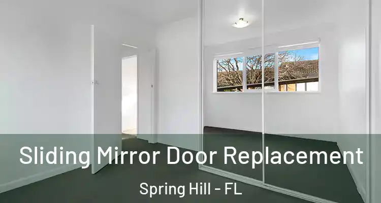 Sliding Mirror Door Replacement Spring Hill - FL