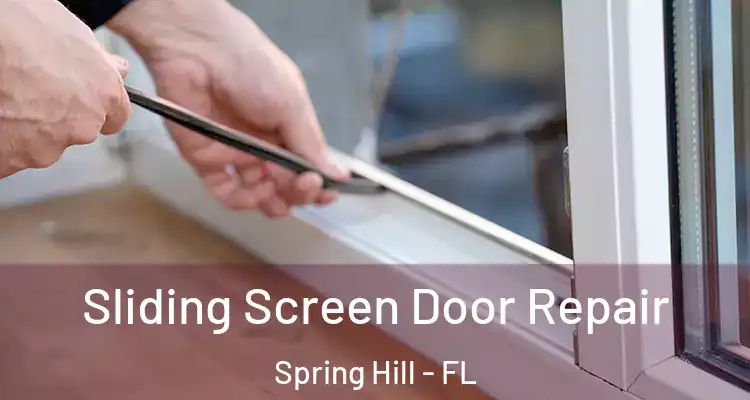 Sliding Screen Door Repair Spring Hill - FL