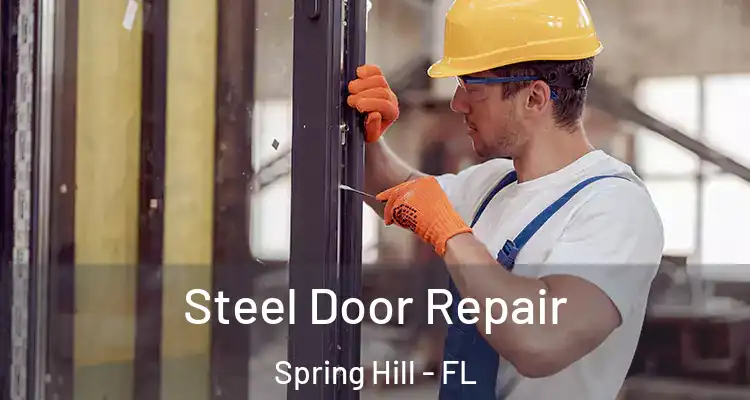 Steel Door Repair Spring Hill - FL
