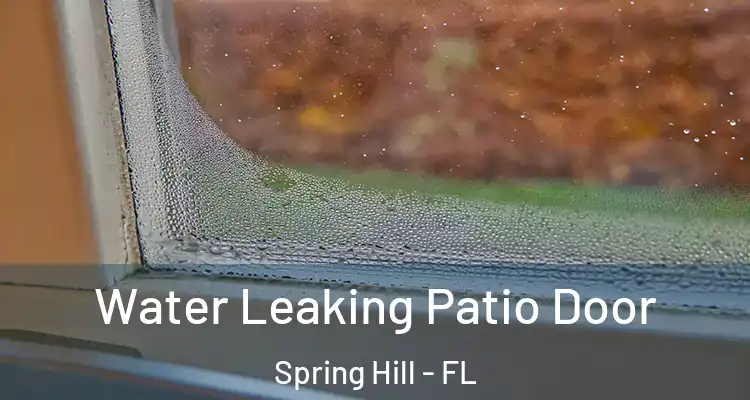 Water Leaking Patio Door Spring Hill - FL
