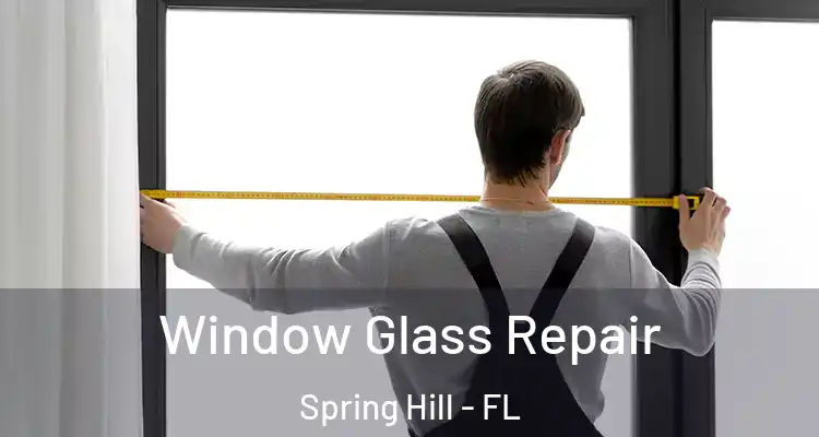 Window Glass Repair Spring Hill - FL