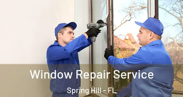 Window Repair Service Spring Hill - FL