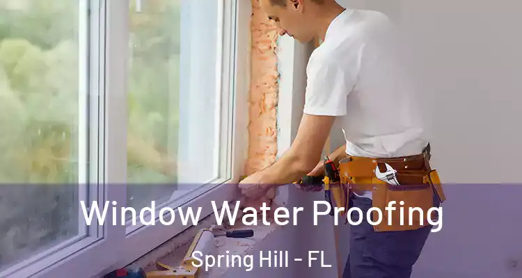 Window Water Proofing Spring Hill - FL
