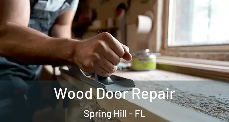 Wood Door Repair Spring Hill - FL